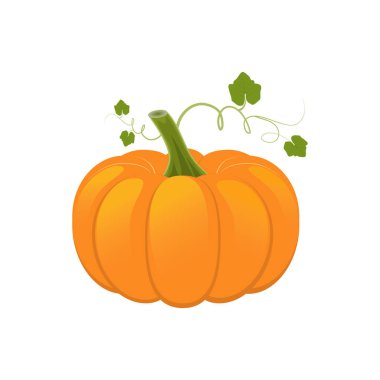 Çekim yapan bir balkabağı ve gider. Beyaz arkaplanda izole edilmiş vektör illüstrasyonu. Tasarım için simge, işaret, şablon.