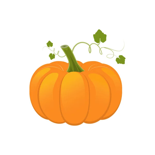 Çekim yapan bir balkabağı ve gider. Beyaz arkaplanda izole edilmiş vektör illüstrasyonu. Tasarım için simge, işaret, şablon.