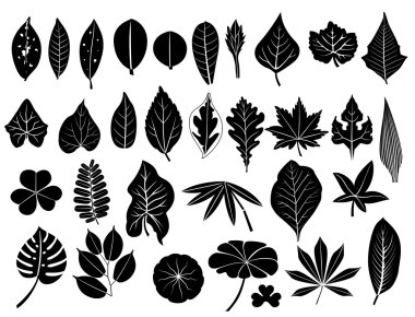 silhouette leaves set clipart