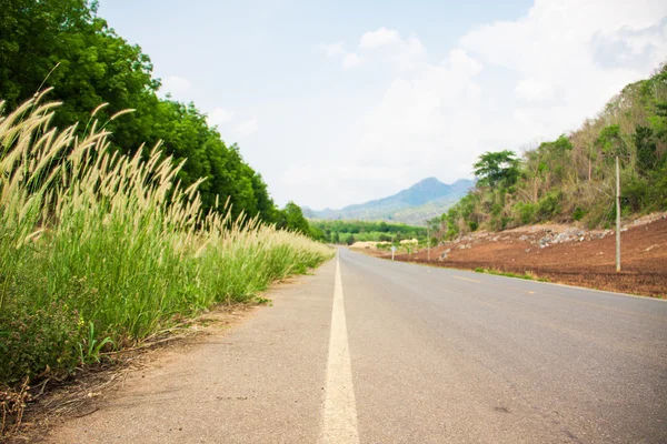 Strada asfaltata diritta — Foto Stock