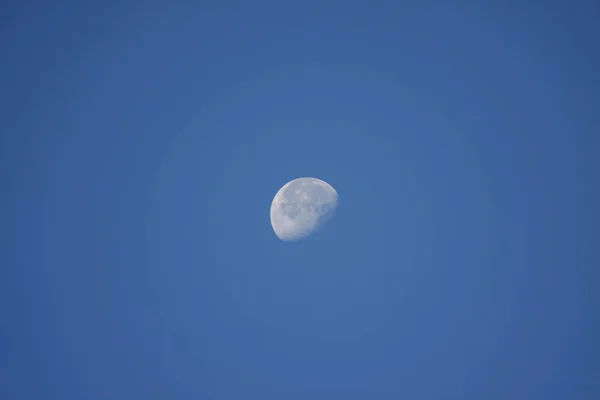 Луна утром — стоковое фото