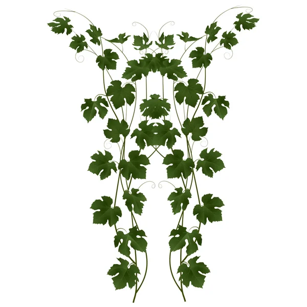 Fond abstrait de vigne aux feuilles vertes — Image vectorielle