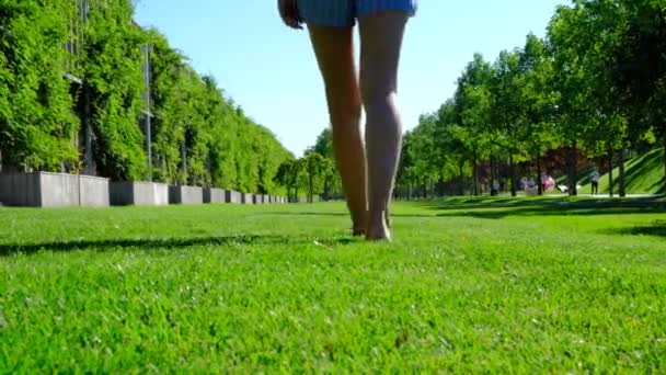 Kvinna klädd i vit t-shirt och blå shorts går nakna fötter, genom en grön gräsmatta. Kvinna gå runt trädgård i parken på frodigt gräs. Frihet och njuta av livet på en ljus solig dag. Stockvideo