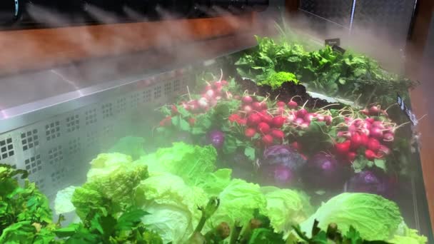 Shop counter with humidifier fresh green vegetables. Refreshing steam on the store. Grocery with watering system. Spraying cool vapor in supermarket to better hydration. Cooling fine irrigation spray. — Stock videók