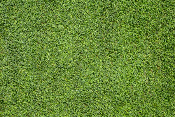 Green grass background texture — Stock Photo, Image