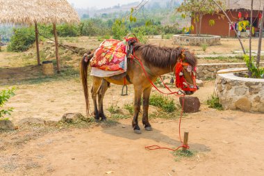  At hizmet seyahat edenler için 