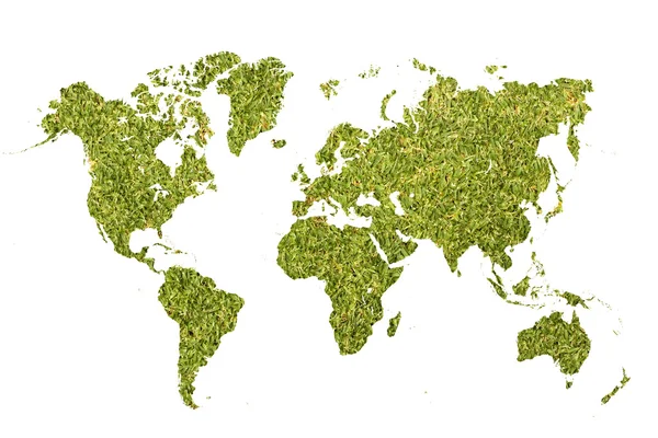 Green nature world map — Stock Photo, Image