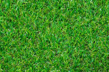 Suni çim futbol sahası