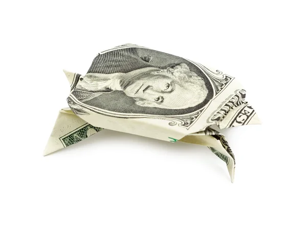 Dollar origami turtle isolated — Stock Photo, Image