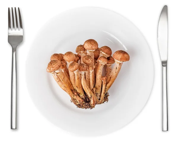 Honung agarics i plattan med kniv och gaffel — Stockfoto