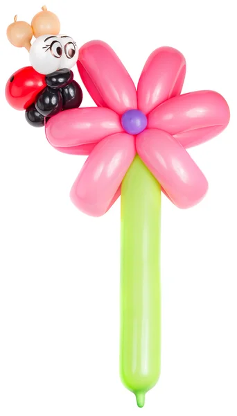 Palloncino fiore con coccinella — Foto Stock