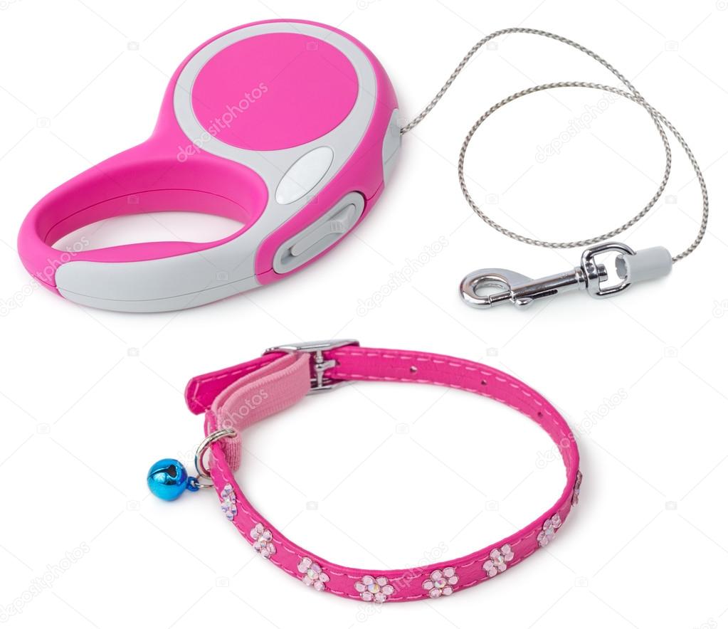 Leash for dog with collar