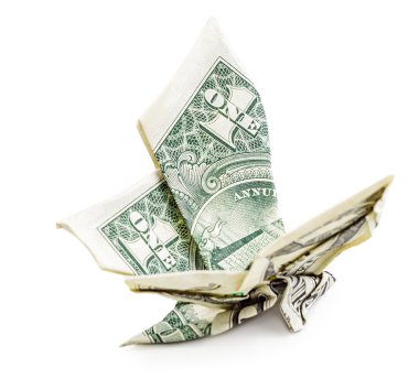 Doları origami kelebek yan görünüm izole