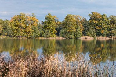 Sonbahar manzarasında kırsal gölet suyu. Renkli ormanın arka planında güzel bir göl. Tatil için romantik bir yer. Romantik yansıma. Güneşli bir gün