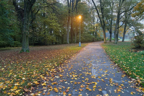 Widok Nocy Krajobraz Alejki Lampami Ulicznymi Mglistą Noc Ciemna Ulica — Zdjęcie stockowe