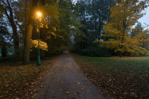 Widok Nocy Krajobraz Alejki Lampami Ulicznymi Mglistą Noc Ciemna Ulica — Zdjęcie stockowe