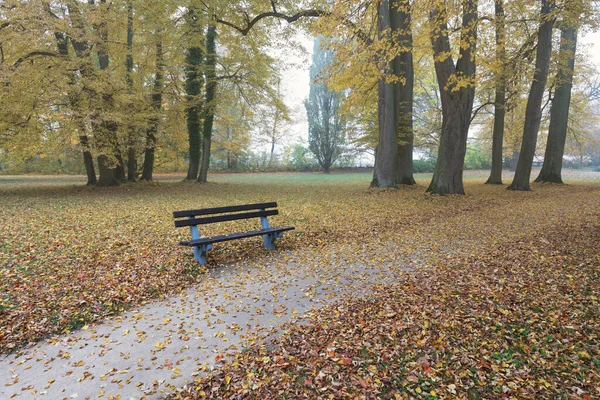 Gyönyörű Őszi Park Őszi Fákkal Levelekkel Őszi Táj — Stock Fotó