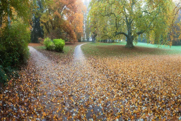 Piękny Jesienny Park Jesiennymi Drzewami Liśćmi Krajobraz Jesienny — Zdjęcie stockowe