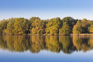 Sonbahar manzarasında kırsal gölet suyu. Renkli ormanın arka planında güzel bir göl. Tatil için romantik bir yer. Romantik yansıma. Güneşli bir gün