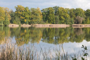 Sonbahar manzarasında kırsal gölet suyu. Renkli ormanın arka planında güzel bir göl. Tatil için romantik bir yer. Romantik yansıma. Güneşli bir gün