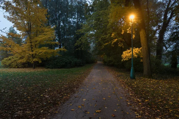 夜景雾蒙蒙的夜晚 街道上点着路灯的小巷景观 黑暗的街道上点缀着街灯 秋天黄昏时的浪漫或戏剧性的气氛 美丽的背景概念 — 图库照片