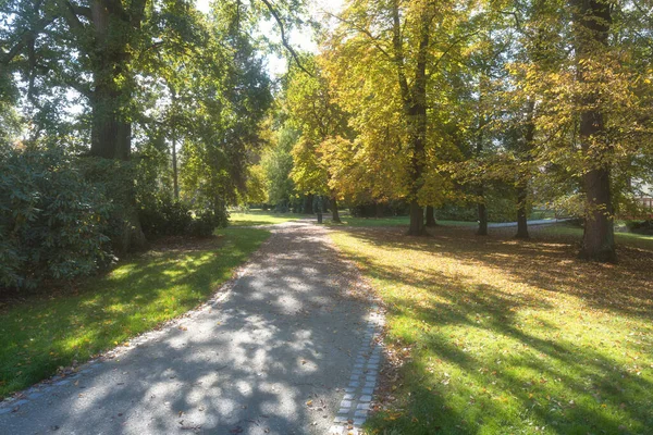 Gyönyörű Természeti Park Őszi Fák Levelek Őszi Táj Panoráma Egy — Stock Fotó