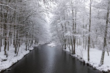 Harika bir kış sahnesi. Küçük nehirde soğuk, sisli bir sabah. Güneşin sıcacık parıltısında don kaplı ağaçlar. Dünyanın güzelliği. Washington Eyaleti, ABD Nehri manzarası, Noel zamanı. Önce