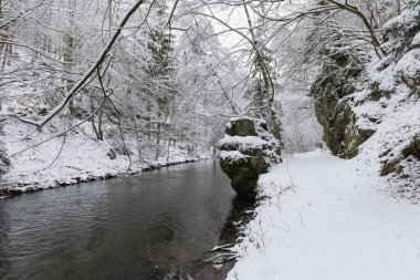 Harika bir kış sahnesi. Küçük nehirde soğuk, sisli bir sabah. Güneşin sıcacık parıltısında don kaplı ağaçlar. Dünyanın güzelliği. Washington Eyaleti, ABD Nehri manzarası, Noel zamanı. Önce