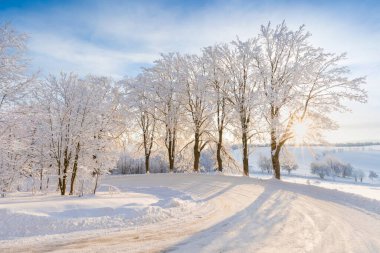 Ormanda kar yağdıktan çok sonra karlı yol karla kaplıydı. Buzlu ve soğuk ağaçlarla güneşli güzel bir gün. Noel zamanı Alpler kayak merkezi.