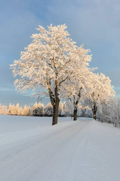 Χιονισμένος Δρόμος Στο Δάσος Χειμερινός Δρόμος Μετά Την Χιονόπτωση Μέσα — Φωτογραφία Αρχείου