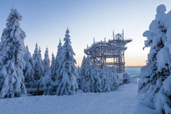 Sky Walk Kralicky Sneznik Dolni Morava Tschechien Der Weg Den — Stockfoto