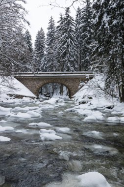 Wild river in winter with old stone bridge at Zemska Brana nature reserve, Orlicke hory, Eagle mountains, Eastern Bohemia Czech republic. Beautiful frosty day. Snowy weather in mountain. Popular place