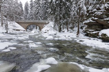 Wild river in winter with old stone bridge at Zemska Brana nature reserve, Orlicke hory, Eagle mountains, Eastern Bohemia Czech republic. Beautiful frosty day. Snowy weather in mountain. Popular place