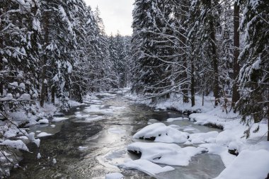 Wild river in winter with old stone bridge at Zemska Brana nature reserve, Orlicke hory, Eagle mountains, Eastern Bohemia Czech republic. Beautiful frosty day. Snowy weather in mountain. Popular place