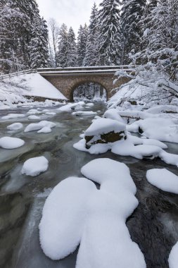 Wild river in winter with old stone bridge at Zemska Brana nature reserve, Orlicke hory, Eagle mountains, Eastern Bohemia Czech republic. Beautiful frosty day. Snowy weather in mountain. Popular place
