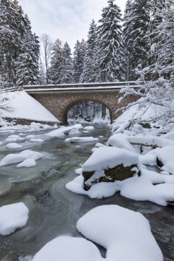 Wild river in winter with old stone bridge at Zemska Brana nature reserve, Orlicke hory, Eagle mountains, Eastern Bohemia Czech republic. Beautiful frosty day. Snowy weather in mountain. Popular place