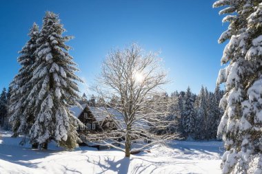 The beautiful Chalet Serlissky Mlyn located in the Eagle Mountains, near to the famous ski resort of Destne v Orlickych horach in the north of the Czech Republic during sunny day in winter season.