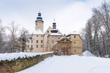 Winter Famous tourist Lemberk castle near Jablonne v Podjestedi, Liberec region, Northern Bohemia, Czech Republic Beautiful christmas time in czech landscape.