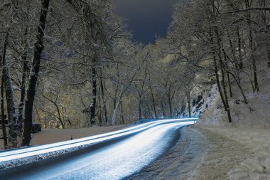 Ormanda doğa arka planında güzel bir yol