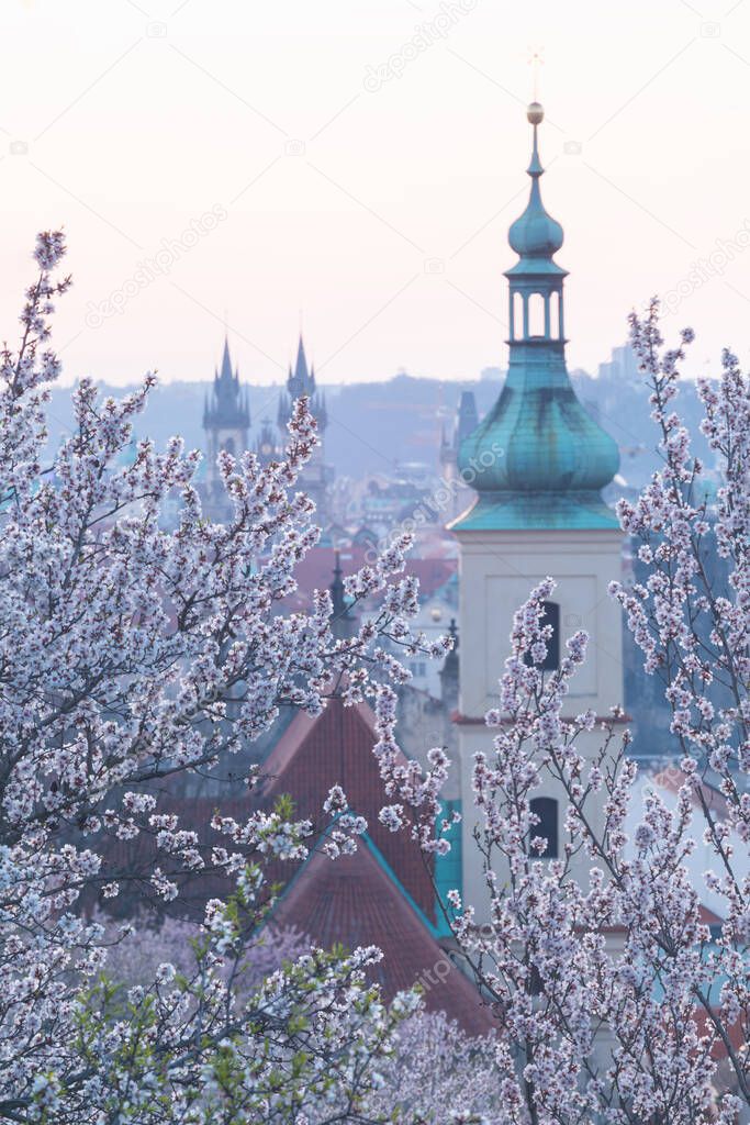 City view of Prague old town, Czech Republic. Red roof tops in the horizon. Church of Our Lady Victorious and The Infant Jesus of Prague Amazing spring A beautiful catholic church among blooming trees