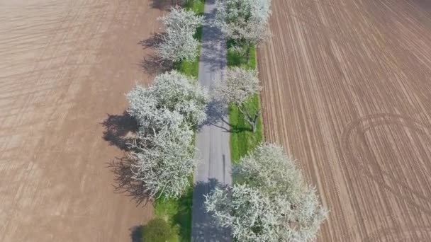 Luchtfoto Van Een Weg Het Platteland Achtergrond — Stockvideo