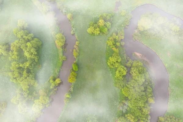 Aerial View River Meander Lush Green Vegetation Delta Top View — Stock fotografie