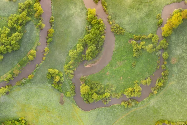 Aerial View River Meander Lush Green Vegetation Delta Top View — Stock fotografie