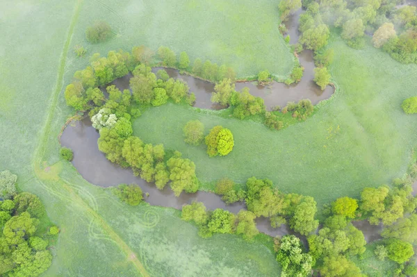 Aerial View River Meander Lush Green Vegetation Delta Top View — Stock Photo, Image