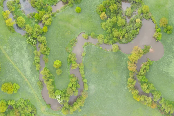 Aerial View River Meander Lush Green Vegetation Delta Top View — Stock Photo, Image