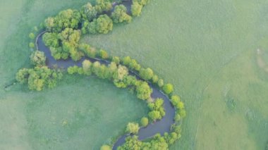Aerial view of river meander in the lush green vegetation of the delta. Beautiful landscape - wild river in USA. National nature reserve in summer.