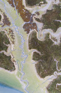 Aerial view of river meander in the lush green vegetation of the delta. Beautiful landscape - wild river in USA. National nature reserve in summer.