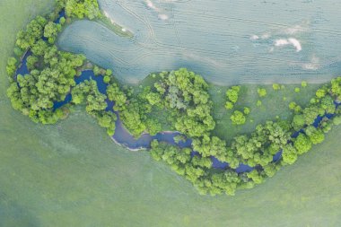 Aerial view of river meander in the lush green vegetation of the delta. Beautiful landscape - wild river in USA. National nature reserve in summer.