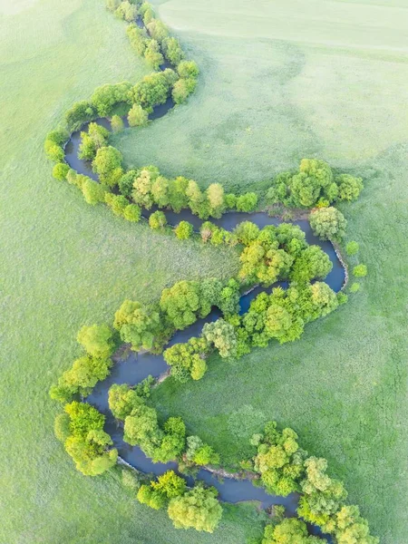 Widok Lotu Ptaka Rzekę Meander Bujnej Zielonej Roślinności Delty Piękny — Zdjęcie stockowe