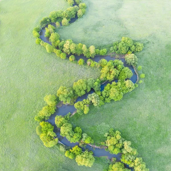 Widok Lotu Ptaka Rzekę Meander Bujnej Zielonej Roślinności Delty Piękny — Zdjęcie stockowe